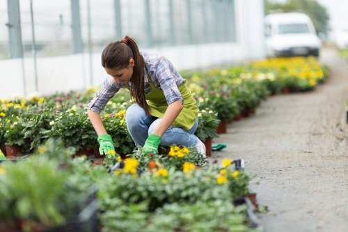 Professional lawn mowing in Newbury Park on a neat residential yard