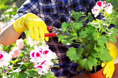 Gardeners Newbury Park modern slavery statement introduction