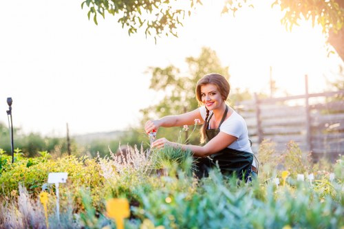 Professional gardening services in Newbury Park maintaining a tidy residential landscape
