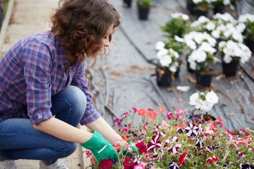 Keyboard navigation support for local gardening pages