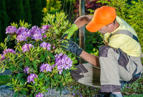Professional garden care in Newbury Park with seasonal planting focus