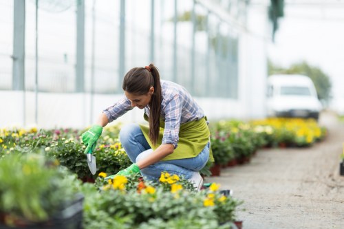 Garden maintenance tasks including pruning, weeding, and planting in Newbury Park
