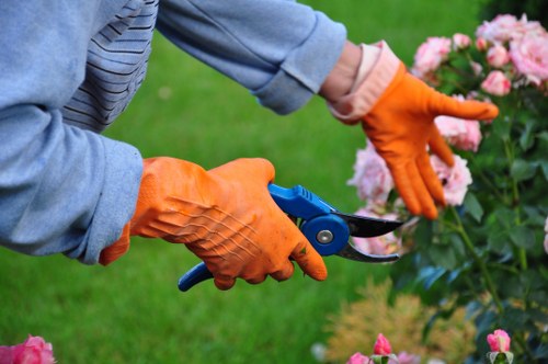 Transparent pricing for Newbury Park garden services