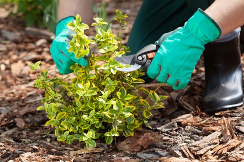 Inclusive browsing experience for Newbury Park gardeners