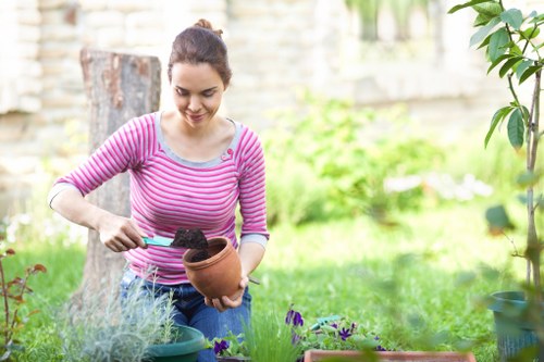 Backyard landscaping with patio and native plants in Newbury Park