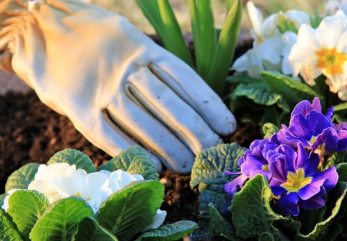 Charity reuse and recycling efforts in a Newbury Park garden