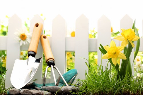Healthy lawn care and edging in a Newbury Park outdoor space
