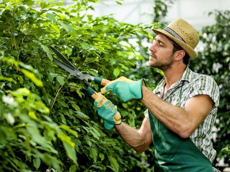 Efficient watering and irrigation for lawn care in Newbury Park