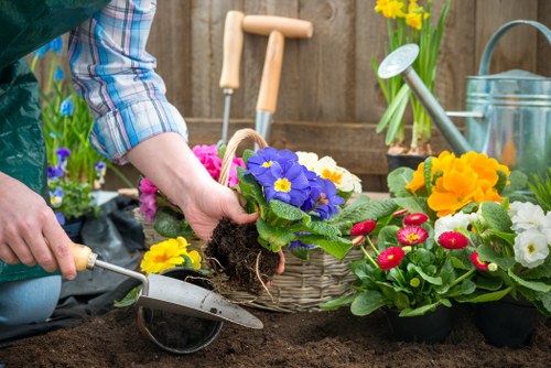 Removing dirt and algae during patio cleaning in Newbury Park