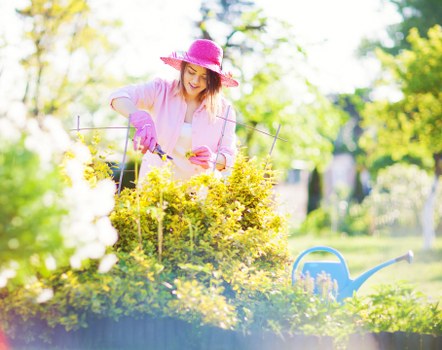 Seasonal garden clearance work in Newbury Park removing branches and leaves