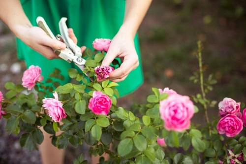 Professional gardening work on a landscaped garden in Newbury Park