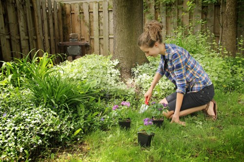 A well-kept garden with pruning and border care in Newbury Park