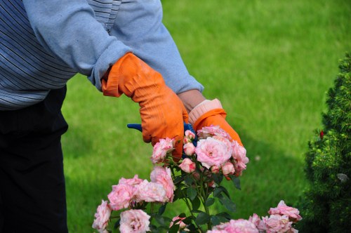 Marketing cookies used by Gardeners Newbury Park