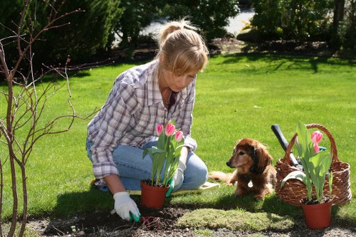 Durable fence material options for Newbury Park weather conditions