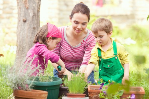 Review of a gardening issue and resolution steps