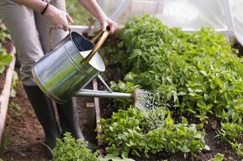Professional garden waste removal and tidy-up in Newbury Park
