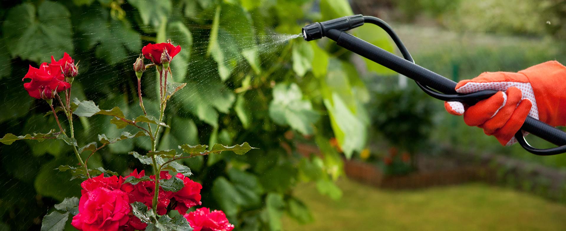 Gardeners Newbury Park
